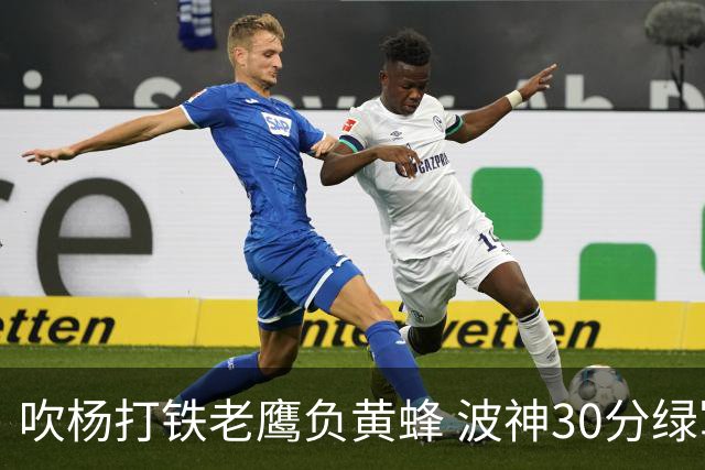 吹杨打铁老鹰负黄蜂 波神30分绿军险胜尼克斯